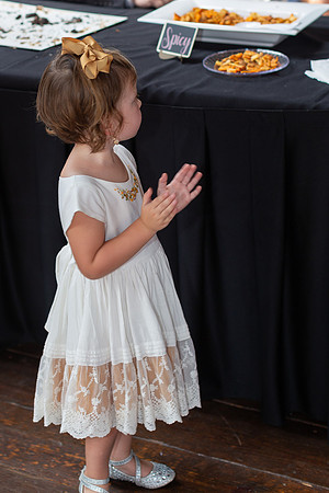 Kathy Balas Photography - Gray Dove Wedding - 12 Reception - Joe and Kristi Ellis (64)