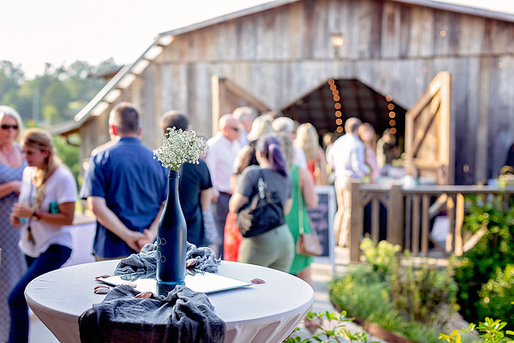 Kathy Balas Photography - Gray Dove Wedding - 12 Reception - Joe and Kristi Ellis (11)
