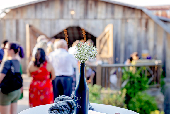 Kathy Balas Photography - Gray Dove Wedding - 05 Details - Joe and Kristi Ellis (4)