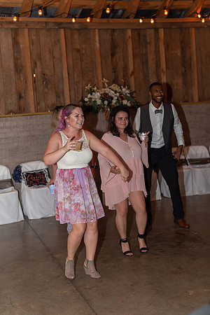 Kathy Balas Photography - Gray Dove Wedding - 12 Reception - Joe and Kristi Ellis (131)